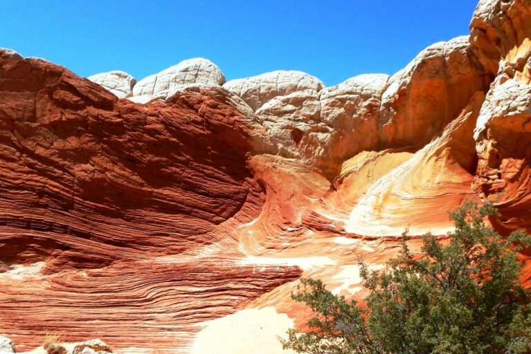 Exploring the wonders of White Pocket Image 5 of 9 | White Pocket | Adventures with Quadman | My Local Utah