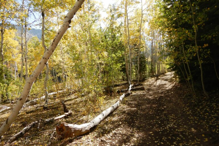 Peaceful trails in Six-Mile Canyon | Adventures with Quadman
