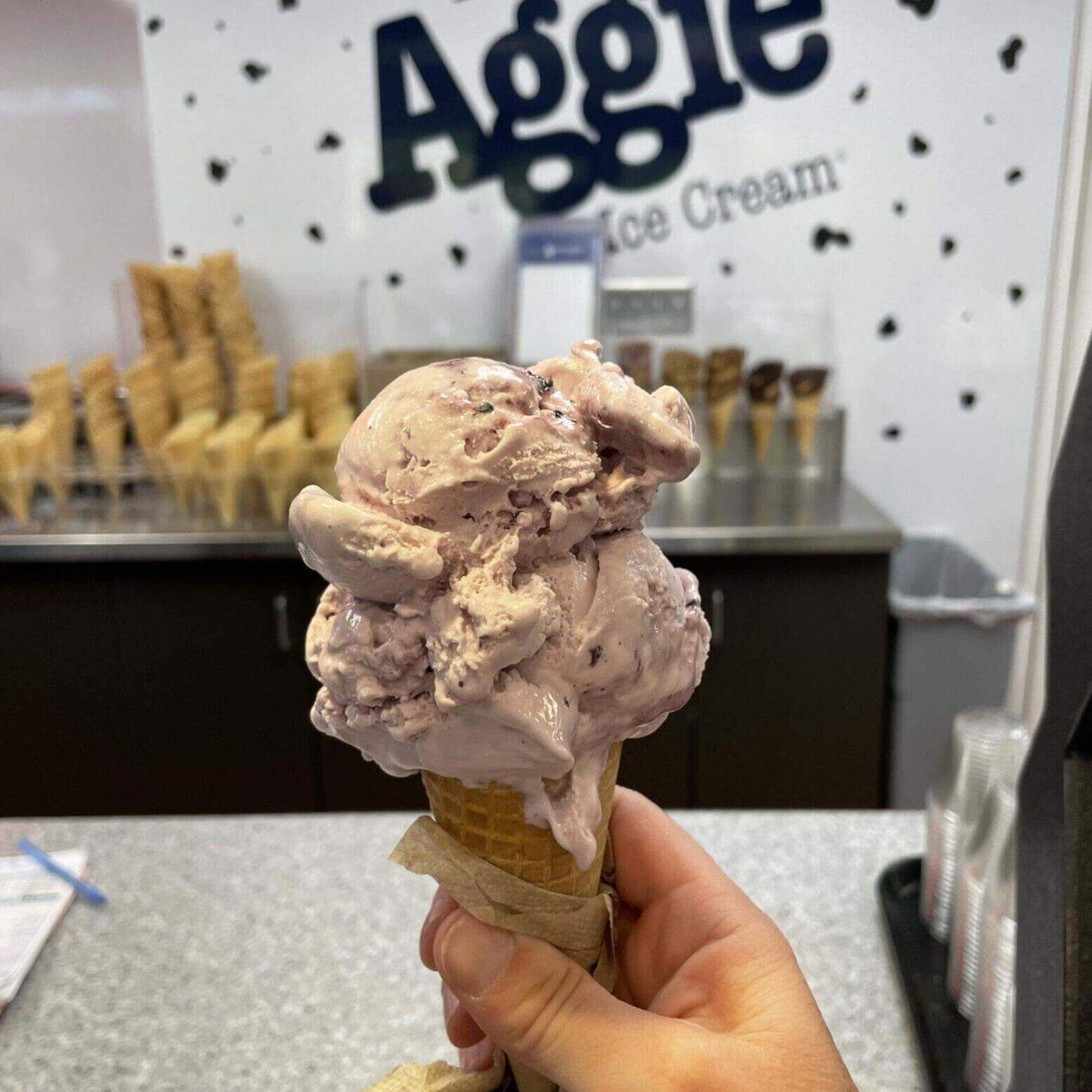 Utah State University Aggie Ice Cream is famed for its creamy texture and amazing flavors, making it a favorite of The Beehive State.