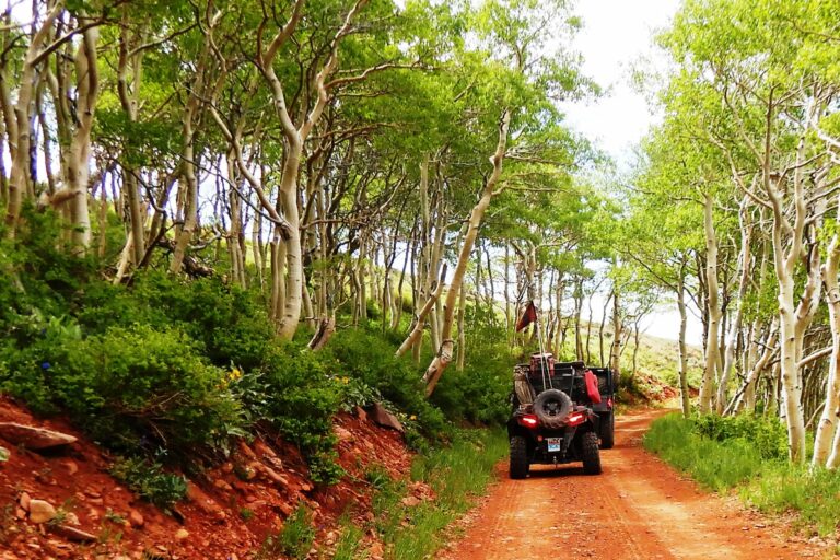 Fillmore Jamboree riding through beautiful mountain scenery and splashing through the water crossings on the Chalk Creek Trail and Fish Creek at the National ATV/UTV Jamboree.