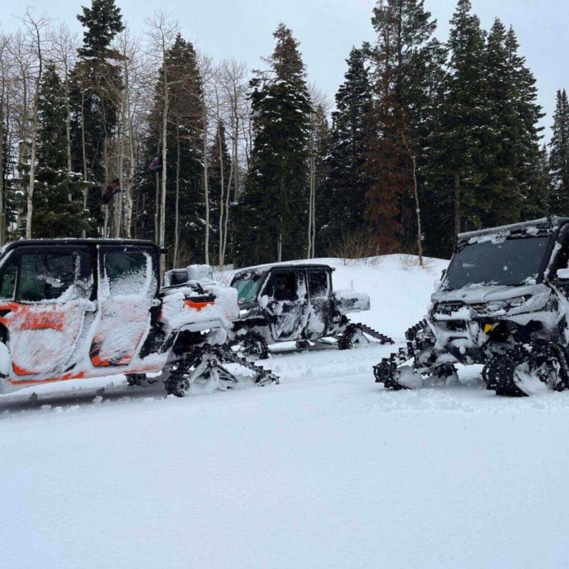 Arapeen winter tracked utv ride in sanpete county is an excursion that will feature a ride through a snowy, enchanting landscape