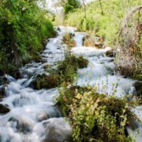 Cascade Springs Utah | My Local Utah A beautiful view of cascade springs showcasing multiple tiers of cascading water and abundant vegetation in midway utah My local utah