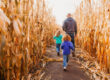 a family of three exploring the corn maze at American West Heritage Center, surrounded by golden corn fields.