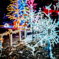 Colorful displays and animal shaped holiday lights at hogle zoolights event in salt lake city utah with couples enjoying the festive atmosphere My local utah