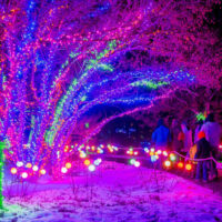 Colorful illuminated pathway at thanksgiving points luminaria lights surrounded by glowing christmas decorations My local utah