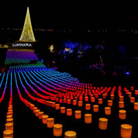A view of luminarias glowing light fields at thanksgiving point with thousands of lights creating a serene and colorful landscape My local utah