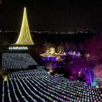 Colorful illuminated pathway at thanksgiving points luminaria lights surrounded by glowing christmas decorations My local utah