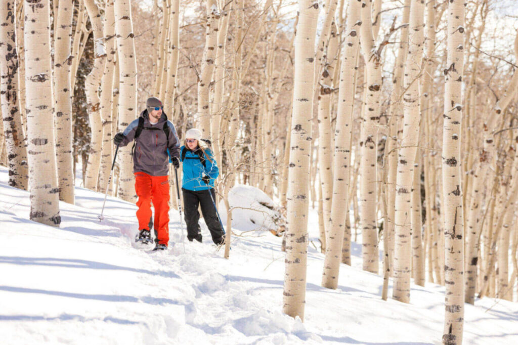 My local utah snowshoeing in ogden my local utah my local utah