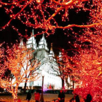 A close-up view of the intricately decorated trees with the beautifully lit lds temple peaking through the trees at temple square adorned with colorful christmas lights and ornaments The vibrant colors and sparkling lights create a festive atmosphere that invites visitors to pause and admire My local utah