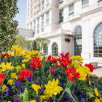 Grand America Brunch My Local Utah Easter Activities | My Local Utah The grand america mother's day brunch my local utah