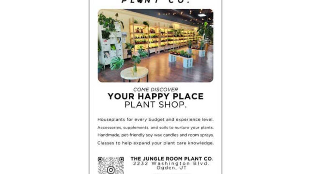 OgdenMagAd_2025_JungleRoom