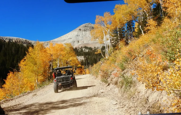 Climbing through fall colors on the way to the top of the tushar mountains.