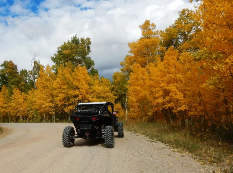 More color on the trail.