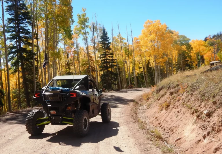 More color on gig johns flat.