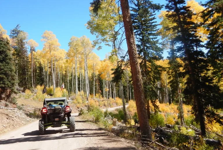 Riding through the fall colors on big johns flat.