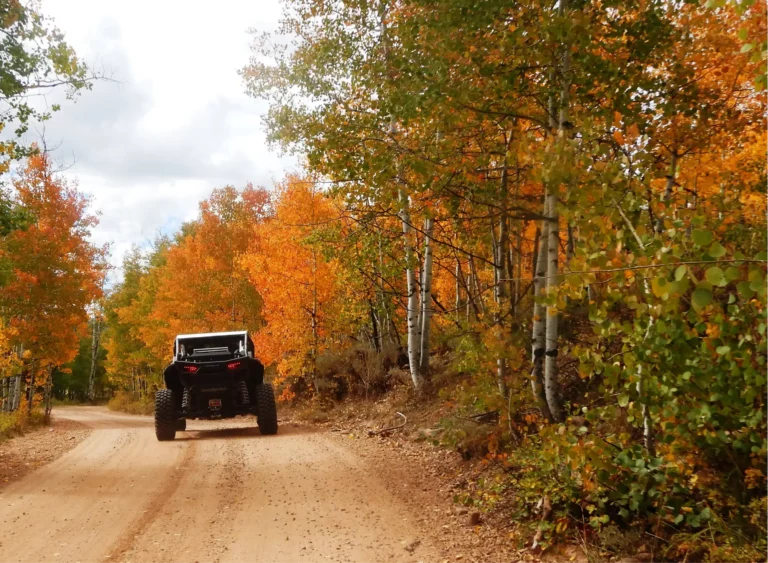 The color dimmed a little with the cloud cover.