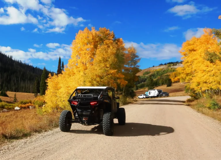 The colors were more beautiful in contrast with the color of the sky.