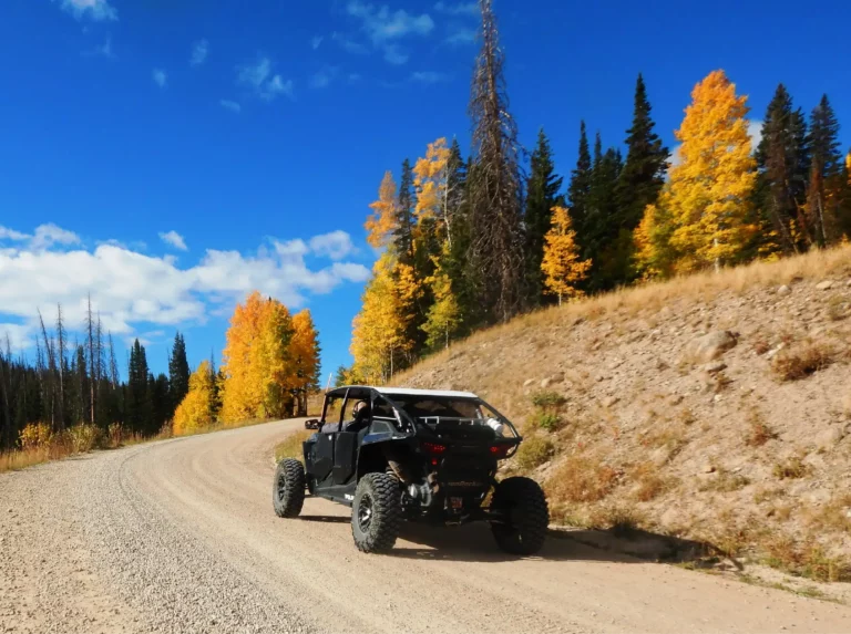 The weather was perfect.