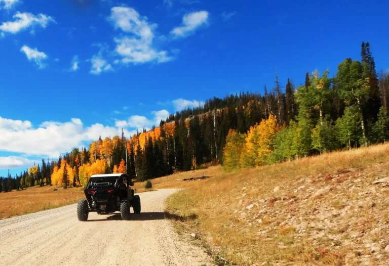 We were not in the peak of the season of color but what we saw was amazing.