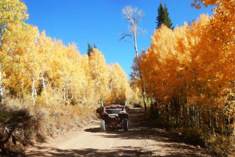 The fall colors on this ride were beautiful.