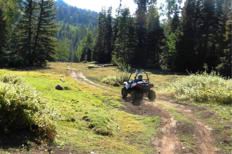A beautiful mountain trail on the east side of Beaver Lynn.