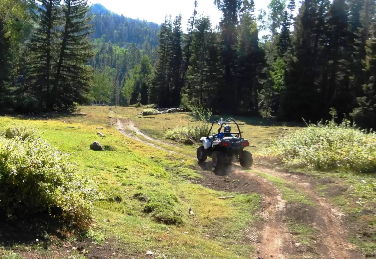 A beautiful mountain trail on the east side of Beaver Lynn.