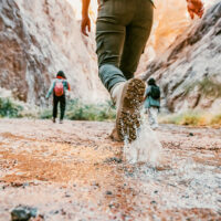 Hiking in the springtime Discover the top spring activities to do in utah explore my local utah my local utah