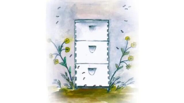 Honey Company