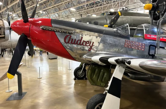 The p-51d mustanglynn.